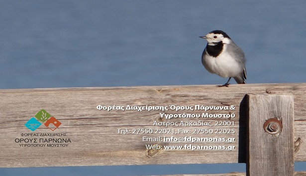 Εκδήλωση παρατήρησης μεταναστευτικών πουλιών στον υγρότοπο Μουστού στην Κυνουρία