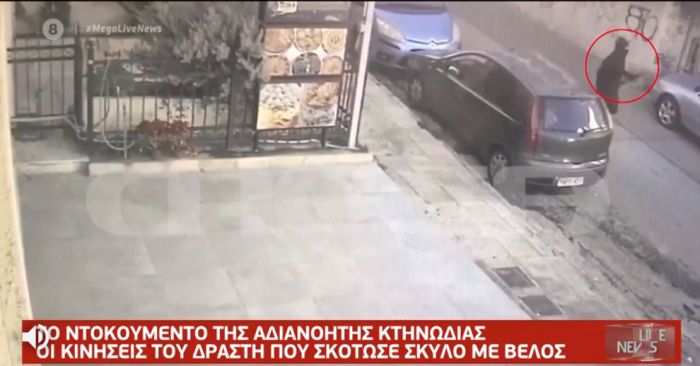 &Beta;ί&nu;&tau;&epsilon;&omicron; &nu;&tau;&omicron;&kappa;&omicron;&upsilon;&mu;έ&nu;&tau;&omicron; &alpha;&pi;ό &phi;&omicron;&nu;&iota;&kappa;ή &epsilon;&pi;ί&theta;&epsilon;&sigma;&eta; &mu;&epsilon; &tau;ό&xi;&omicron; &sigma;&epsilon; &sigma;&kappa;ύ&lambda;&omicron; &pi;&rho;ό&beta;&alpha;&lambda;&epsilon; &tau;&omicron; Mega (vd)