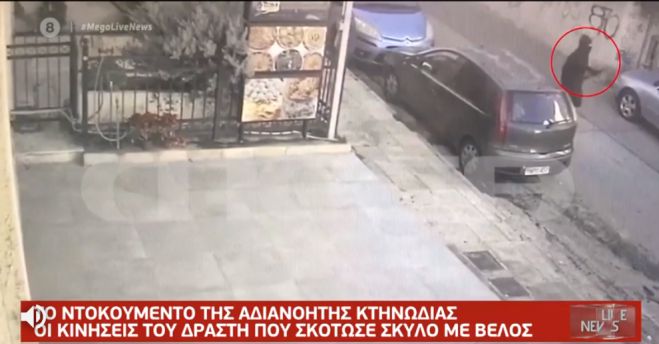 &Beta;ί&nu;&tau;&epsilon;&omicron; &nu;&tau;&omicron;&kappa;&omicron;&upsilon;&mu;έ&nu;&tau;&omicron; &alpha;&pi;ό &phi;&omicron;&nu;&iota;&kappa;ή &epsilon;&pi;ί&theta;&epsilon;&sigma;&eta; &mu;&epsilon; &tau;ό&xi;&omicron; &sigma;&epsilon; &sigma;&kappa;ύ&lambda;&omicron; &pi;&rho;ό&beta;&alpha;&lambda;&epsilon; &tau;&omicron; Mega (vd)