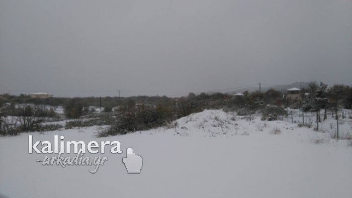 &Lambda;&epsilon;&upsilon;&kappa;ή &laquo;&kappa;&alpha;&lambda;&eta;&mu;έ&rho;&alpha;&raquo; &alpha;&pi;ό &tau;&alpha; &Pi;&epsilon;&lambda;&epsilon;&tau;ά &Kappa;&upsilon;&nu;&omicron;&upsilon;&rho;ί&alpha;&sigmaf; (&epsilon;&iota;&kappa;ό&nu;&epsilon;&sigmaf;)