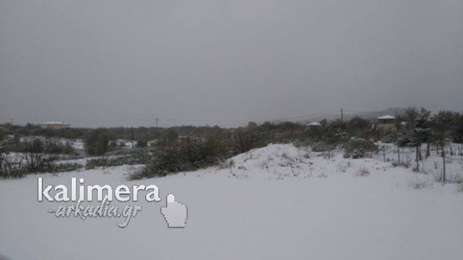 &Lambda;&epsilon;&upsilon;&kappa;ή &laquo;&kappa;&alpha;&lambda;&eta;&mu;έ&rho;&alpha;&raquo; &alpha;&pi;ό &tau;&alpha; &Pi;&epsilon;&lambda;&epsilon;&tau;ά &Kappa;&upsilon;&nu;&omicron;&upsilon;&rho;ί&alpha;&sigmaf; (&epsilon;&iota;&kappa;ό&nu;&epsilon;&sigmaf;)