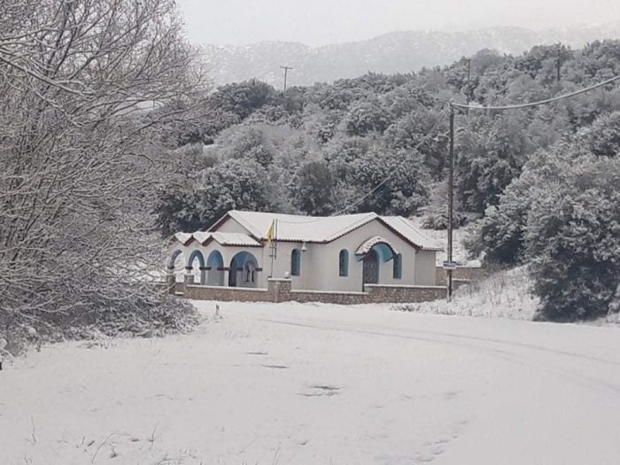 Ό&lambda;&alpha; &lambda;&epsilon;&upsilon;&kappa;ά &sigma;&tau;&eta;&nu; &Pi;&alpha;&nu;&alpha;&gamma;ί&tau;&sigma;&alpha; &Alpha;&rho;&kappa;&alpha;&delta;ί&alpha;&sigmaf; (&epsilon;&iota;&kappa;ό&nu;&epsilon;&sigmaf;)