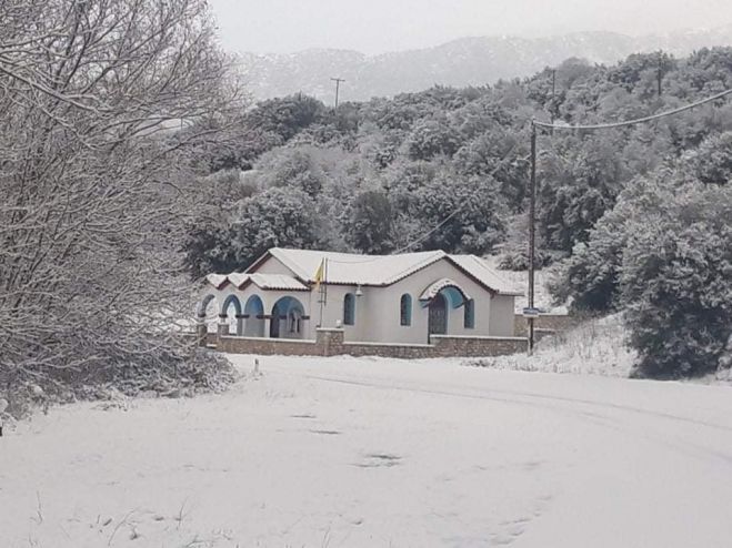Ό&lambda;&alpha; &lambda;&epsilon;&upsilon;&kappa;ά &sigma;&tau;&eta;&nu; &Pi;&alpha;&nu;&alpha;&gamma;ί&tau;&sigma;&alpha; &Alpha;&rho;&kappa;&alpha;&delta;ί&alpha;&sigmaf; (&epsilon;&iota;&kappa;ό&nu;&epsilon;&sigmaf;)