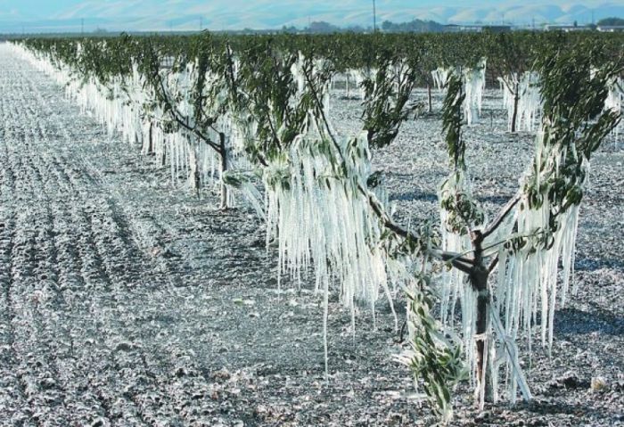 &Mu;&epsilon;&gamma;ά&lambda;&epsilon;&sigmaf; &zeta;&eta;&mu;&iota;έ&sigmaf; &pi;&rho;&omicron;&kappa;ά&lambda;&epsilon;&sigma;&epsilon; &omicron; &pi;&alpha;&gamma;&epsilon;&tau;ό&sigmaf; &sigma;&tau;&omicron; &omicron;&rho;&omicron;&pi;έ&delta;&iota;&omicron; &tau;&eta;&sigmaf; &Mu;&alpha;&nu;&tau;&iota;&nu;&epsilon;ί&alpha;&sigmaf;