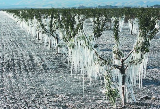 &Mu;&epsilon;&gamma;ά&lambda;&epsilon;&sigmaf; &zeta;&eta;&mu;&iota;έ&sigmaf; &pi;&rho;&omicron;&kappa;ά&lambda;&epsilon;&sigma;&epsilon; &omicron; &pi;&alpha;&gamma;&epsilon;&tau;ό&sigmaf; &sigma;&tau;&omicron; &omicron;&rho;&omicron;&pi;έ&delta;&iota;&omicron; &tau;&eta;&sigmaf; &Mu;&alpha;&nu;&tau;&iota;&nu;&epsilon;ί&alpha;&sigmaf;