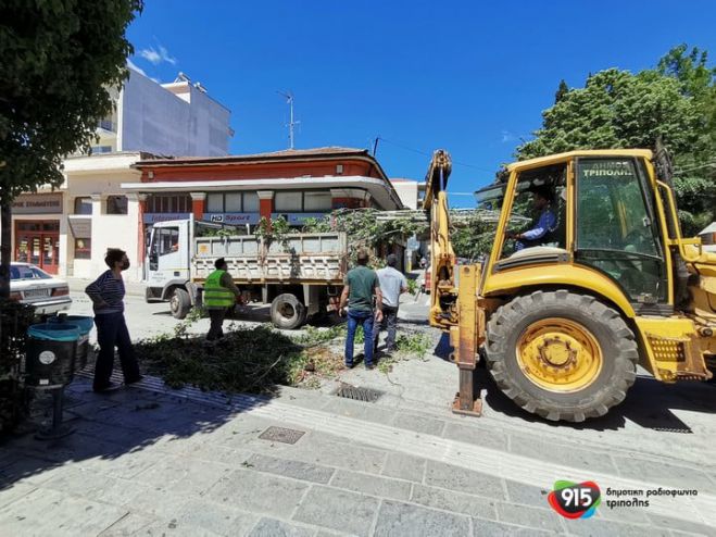 &Pi;&tau;ώ&sigma;&eta; &delta;έ&nu;&tau;&rho;&omicron;&upsilon; &sigma;&tau;&omicron; &kappa;έ&nu;&tau;&rho;&omicron; &tau;&eta;&sigmaf; &Tau;&rho;ί&pi;&omicron;&lambda;&eta;&sigmaf; - Ά&mu;&epsilon;&sigma;&eta; &epsilon;&pi;έ&mu;&beta;&alpha;&sigma;&eta; &alpha;&pi;ό &Delta;ή&mu;&omicron; &kappa;&alpha;&iota; &Pi;&upsilon;&rho;&omicron;&sigma;&beta;&epsilon;&sigma;&tau;&iota;&kappa;ή (vd)