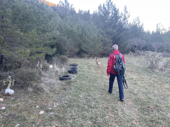 &Sigma;&upsilon;&nu;&epsilon;&chi;ί&zeta;&omicron;&nu;&tau;&alpha;&iota; &omicron;&iota; έ&rho;&epsilon;&upsilon;&nu;&epsilon;&sigmaf; &gamma;&iota;&alpha; &alpha;&gamma;&nu;&omicron;&omicron;ύ&mu;&epsilon;&nu;&omicron; &sigma;&tau;&eta;&nu; &pi;&epsilon;&rho;&iota;&omicron;&chi;ή &tau;&omicron;&upsilon; &Mu;&alpha;&iota;&nu;ά&lambda;&omicron;&upsilon;