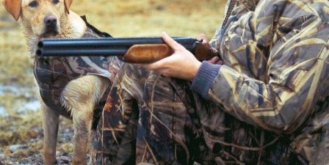 Κυνηγετική Συνομοσπονδία Ελλάδας: &quot;Όχι στο νομοσχέδιο που απειλεί να ακρωτηριάσει τα γεννητικά όργανα όλων των δεσποζόμενων σκύλων&quot;