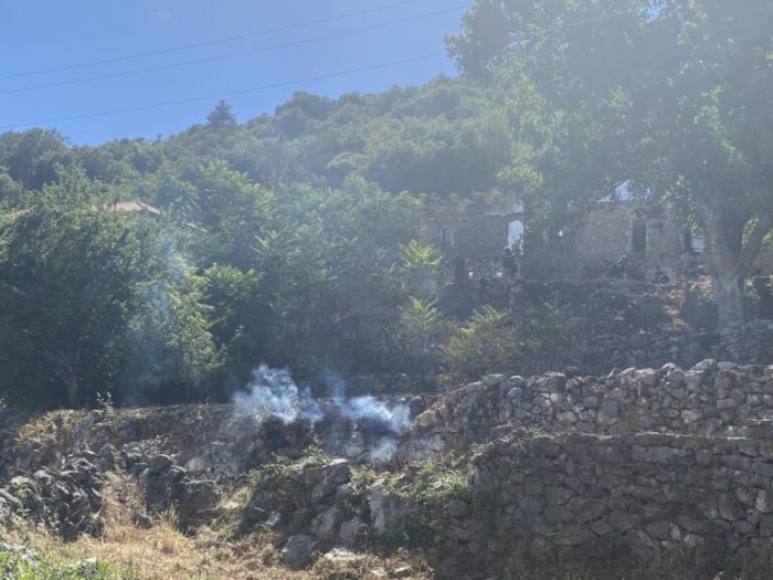 Υπό έλεγχο η πυρκαγιά σε στην περιοχή Τσελεπάκου Αρκαδίας