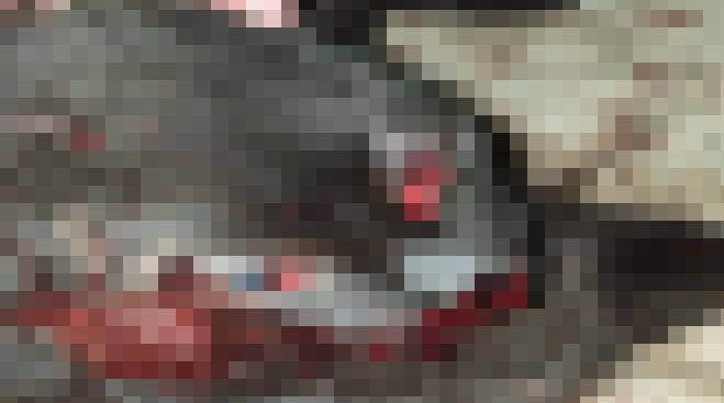 &Alpha;&delta;έ&sigma;&pi;&omicron;&tau;&eta; &gamma;ά&tau;&alpha; &delta;&omicron;&lambda;&omicron;&phi;&omicron;&nu;ή&theta;&eta;&kappa;&epsilon; &sigma;&tau;&omicron; &Pi;&alpha;&rho;ά&lambda;&iota;&omicron; Ά&sigma;&tau;&rho;&omicron;&sigmaf; - &Beta;&rho;έ&theta;&eta;&kappa;&epsilon; &mu;&epsilon; &sigma;&pi;&alpha;&sigma;&mu;έ&nu;&omicron; &kappa;&epsilon;&phi;ά&lambda;&iota; &kappa;&alpha;&iota; &gamma;&epsilon;&mu;ά&tau;&eta; &alpha;ί&mu;&alpha;&tau;&alpha;