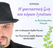 Θεατρικές παραστάσεις σε Ροεινό και Βάχλια!