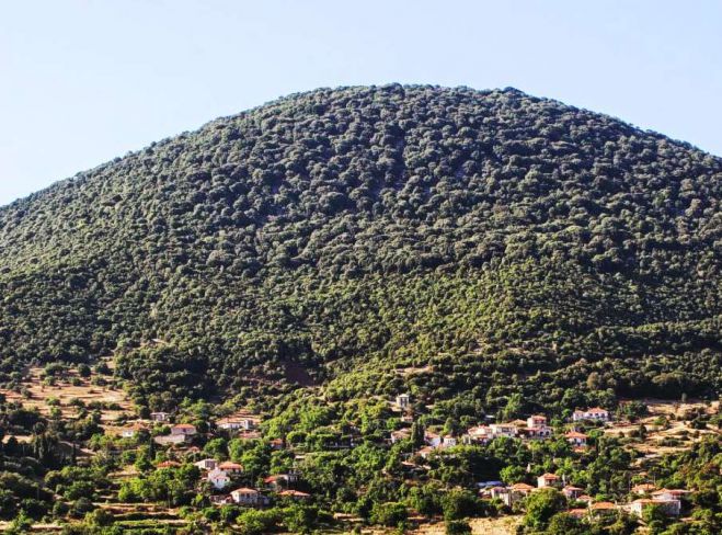 &Sigma;&tau;&omicron; &epsilon;&nu;&tau;&upsilon;&pi;&omega;&sigma;&iota;&alpha;&kappa;ό ό&rho;&omicron;&sigmaf; &Mu;ί&nu;&theta;&eta; &tau;&eta;&sigmaf; &Eta;&lambda;&epsilon;ί&alpha;&sigmaf; &omicron; &Sigma;&Alpha;&Omicron;&Omicron;