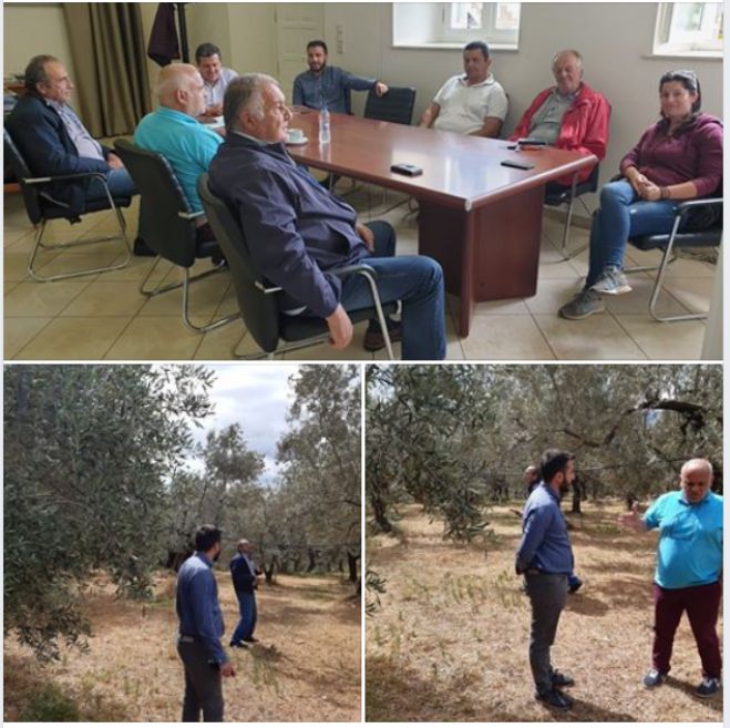 &Zeta;&eta;&mu;&iota;έ&sigmaf; &alpha;&pi;ό &tau;&omicron;&nu; &kappa;&alpha;ύ&sigma;&omega;&nu;&alpha; &sigma;&tau;&iota;&sigmaf; &epsilon;&lambda;&iota;έ&sigmaf; &tau;&eta;&sigmaf; &Kappa;&upsilon;&nu;&omicron;&upsilon;&rho;ί&alpha;&sigmaf; | Ά&mu;&epsilon;&sigma;&eta; &alpha;&nu;&tau;&alpha;&pi;ό&kappa;&rho;&iota;&sigma;&eta; &Lambda;&upsilon;&kappa;&omicron;&upsilon;&rho;έ&nu;&tau;&zeta;&omicron;&upsilon; &gamma;&iota;&alpha; &kappa;&alpha;&tau;&alpha;&gamma;&rho;&alpha;&phi;ή &kappa;&alpha;&iota; &alpha;&pi;&omicron;&zeta;&eta;&mu;&iota;ώ&sigma;&epsilon;&iota;&sigmaf;