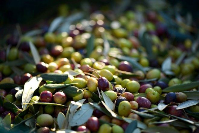 &Gamma;&omicron;&rho;&tau;&upsilon;&nu;ί&alpha; | &Epsilon;&nu;ί&sigma;&chi;&upsilon;&sigma;&eta; &sigma;&epsilon; &pi;&alpha;&rho;&alpha;&gamma;&omega;&gamma;&omicron;ύ&sigmaf; &epsilon;&lambda;&alpha;&iota;&omicron;&lambda;ά&delta;&omicron;&upsilon; &lambda;ό&gamma;&omega; covid-19