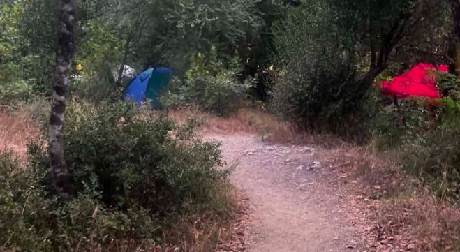 &Kappa;&alpha;&tau;&alpha;&gamma;&gamma;&epsilon;&lambda;ί&alpha; &gamma;&iota;&alpha; &tau;&eta;&nu; &pi;&rho;&omicron;&sigma;&tau;&alpha;&sigma;ί&alpha; &tau;&omicron;&upsilon; &Lambda;&omicron;&upsilon;&sigma;ί&omicron;&upsilon; &ndash; &Sigma;&tau;&omicron;&pi; &sigma;&tau;&eta;&nu; &alpha;&sigma;&upsilon;&delta;&omicron;&sigma;ί&alpha; &tau;&omicron;&upsilon; &epsilon;&lambda;&epsilon;ύ&theta;&epsilon;&rho;&omicron;&upsilon; &kappa;ά&mu;&pi;&iota;&nu;&gamma;&kappa; &sigma;&tau;&omicron;&nu; &alpha;&rho;&chi;&alpha;&iota;&omicron;&lambda;&omicron;&gamma;&iota;&kappa;ό &chi;ώ&rho;&omicron;