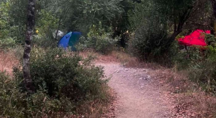 &Kappa;&alpha;&tau;&alpha;&gamma;&gamma;&epsilon;&lambda;ί&alpha; &gamma;&iota;&alpha; &tau;&eta;&nu; &pi;&rho;&omicron;&sigma;&tau;&alpha;&sigma;ί&alpha; &tau;&omicron;&upsilon; &Lambda;&omicron;&upsilon;&sigma;ί&omicron;&upsilon; &ndash; &Sigma;&tau;&omicron;&pi; &sigma;&tau;&eta;&nu; &alpha;&sigma;&upsilon;&delta;&omicron;&sigma;ί&alpha; &tau;&omicron;&upsilon; &epsilon;&lambda;&epsilon;ύ&theta;&epsilon;&rho;&omicron;&upsilon; &kappa;ά&mu;&pi;&iota;&nu;&gamma;&kappa; &sigma;&tau;&omicron;&nu; &alpha;&rho;&chi;&alpha;&iota;&omicron;&lambda;&omicron;&gamma;&iota;&kappa;ό &chi;ώ&rho;&omicron;