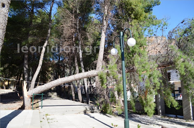 &Theta;&upsilon;&epsilon;&lambda;&lambda;ώ&delta;&epsilon;&iota;&sigmaf; ά&nu;&epsilon;&mu;&omicron;&iota; έ&pi;&lambda;&eta;&xi;&alpha;&nu; &tau;&omicron; &Lambda;&epsilon;&omega;&nu;ί&delta;&iota;&omicron; (&beta;ί&nu;&tau;&epsilon;&omicron; &kappa;&alpha;&iota; &epsilon;&iota;&kappa;ό&nu;&epsilon;&sigmaf;)