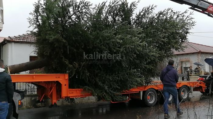 &Tau;&rho;ί&pi;&omicron;&lambda;&eta; | &Kappa;&omicron;&pi;ή &epsilon;&lambda;ά&tau;&omicron;&upsilon; &sigma;&tau;&eta;&nu; &omicron;&delta;ό "&Epsilon;&upsilon;&kappa;&lambda;&epsilon;ί&delta;&omicron;&upsilon;" &gamma;&iota;&alpha; &tau;&omicron; &sigma;&tau;&omicron;&lambda;&iota;&sigma;&mu;ό &tau;&eta;&sigmaf; &pi;ό&lambda;&eta;&sigmaf;! (vd)