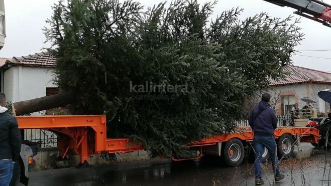 &Tau;&rho;ί&pi;&omicron;&lambda;&eta; | &Kappa;&omicron;&pi;ή &epsilon;&lambda;ά&tau;&omicron;&upsilon; &sigma;&tau;&eta;&nu; &omicron;&delta;ό "&Epsilon;&upsilon;&kappa;&lambda;&epsilon;ί&delta;&omicron;&upsilon;" &gamma;&iota;&alpha; &tau;&omicron; &sigma;&tau;&omicron;&lambda;&iota;&sigma;&mu;ό &tau;&eta;&sigmaf; &pi;ό&lambda;&eta;&sigmaf;! (vd)