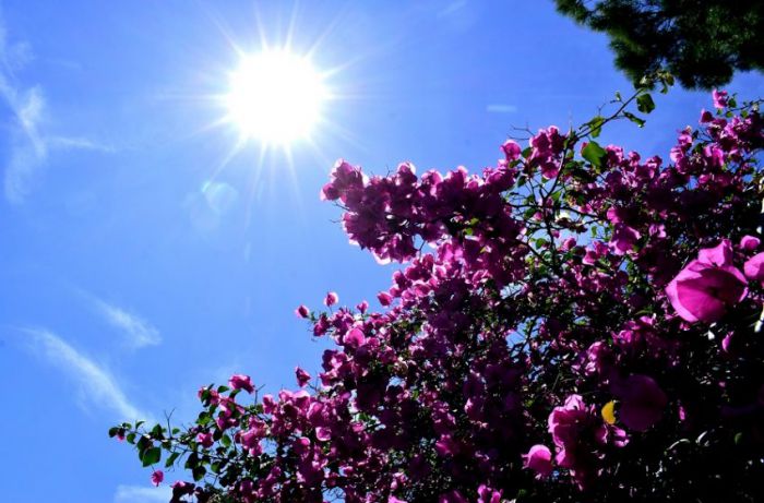 &Kappa;&alpha;&iota;&rho;ό&sigmaf; | &Sigma;&tau;&alpha;&delta;&iota;&alpha;&kappa;ή ά&nu;&omicron;&delta;&omicron; &theta;&alpha; &pi;&alpha;&rho;&omicron;&upsilon;&sigma;&iota;ά&sigma;&epsilon;&iota; &eta; &theta;&epsilon;&rho;&mu;&omicron;&kappa;&rho;&alpha;&sigma;ί&alpha;