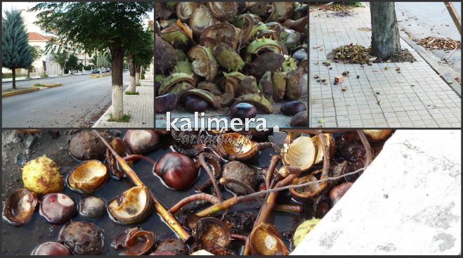 &Delta;&rho;ό&mu;&omicron;&sigmaf; &gamma;&epsilon;&mu;ά&tau;&omicron;&sigmaf; &laquo;&kappa;ά&sigma;&tau;&alpha;&nu;&alpha;&raquo; &eta; &Kappa;&alpha;&lambda;&alpha;&beta;&rho;ύ&tau;&omega;&nu;! (&epsilon;&iota;&kappa;ό&nu;&epsilon;&sigmaf;)