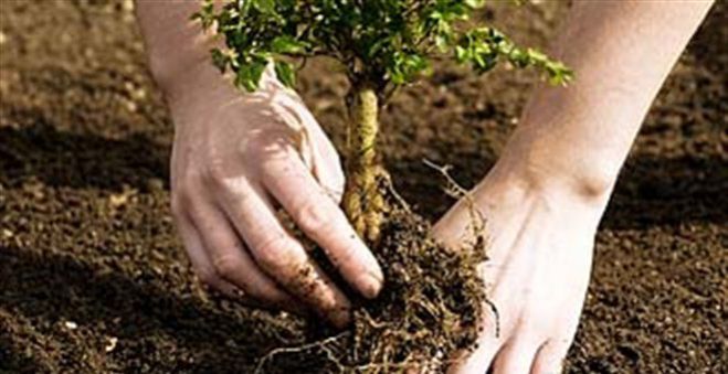 &Alpha;&nu;&alpha;&delta;ά&sigma;&omega;&sigma;&eta; &sigma;&epsilon; &kappa;&alpha;&mu;έ&nu;&epsilon;&sigmaf; &epsilon;&kappa;&tau;ά&sigma;&epsilon;&iota;&sigmaf; &tau;&omicron;&upsilon; &Mu;&alpha;&iota;&nu;ά&lambda;&omicron;&upsilon;