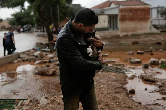 &Alpha;&sigma;&tau;έ&rho;&alpha;&sigmaf; | &Pi;&Alpha;&Epsilon; &kappa;&alpha;&iota; Tigers &kappa;&omicron;&nu;&tau;ά &sigma;&tau;&omicron;&upsilon;&sigmaf; &pi;&lambda;&eta;&mu;&mu;&upsilon;&rho;&omicron;&pi;&alpha;&theta;&epsilon;ί&sigmaf;!