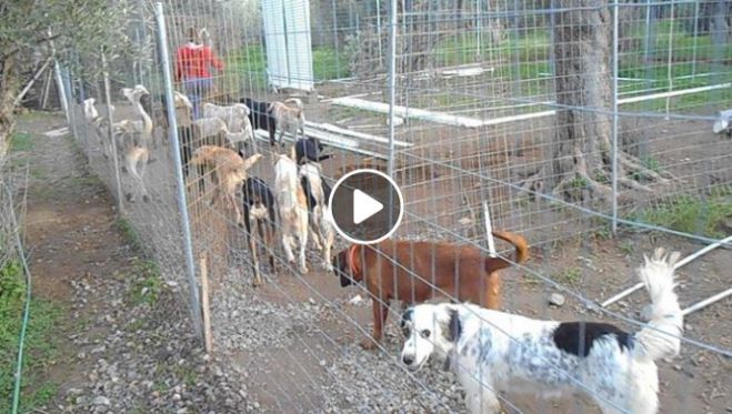 &Sigma;&tau;ή&rho;&iota;&xi;&eta; &zeta;&eta;&tau;ά &omicron; &Phi;&iota;&lambda;&omicron;&zeta;&omega;&iota;&kappa;ό&sigmaf; &gamma;&iota;&alpha; &tau;&alpha; &epsilon;&kappa;&alpha;&tau;&omicron;&nu;&tau;ά&delta;&epsilon;&sigmaf; &alpha;&delta;έ&sigma;&pi;&omicron;&tau;&alpha; &pi;&omicron;&upsilon; &phi;&iota;&lambda;&omicron;&xi;&epsilon;&nu;&omicron;ύ&nu;&tau;&alpha;&iota; &sigma;&tau;&omicron; &kappa;&alpha;&tau;&alpha;&phi;ύ&gamma;&iota;&omicron; (vd)