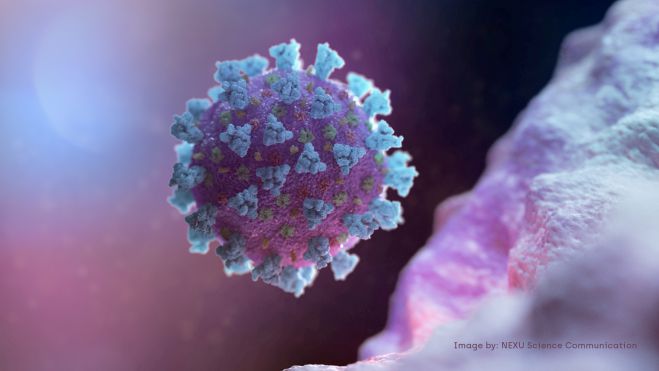 Κορονοϊός | Έτσι τα εμβόλια mRNA νικούν τον ιό