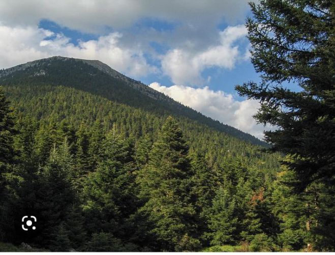 Ώ&rho;&alpha; &alpha;&pi;&alpha;&nu;&tau;ή&sigma;&epsilon;&omega;&nu; &tau;&eta;&nu; &Delta;&epsilon;&upsilon;&tau;έ&rho;&alpha; &sigma;&tau;&eta; &Beta;&omicron;&upsilon;&lambda;ή &gamma;&iota;&alpha; &tau;&omicron; &Mu;&alpha;ί&nu;&alpha;&lambda;&omicron;!