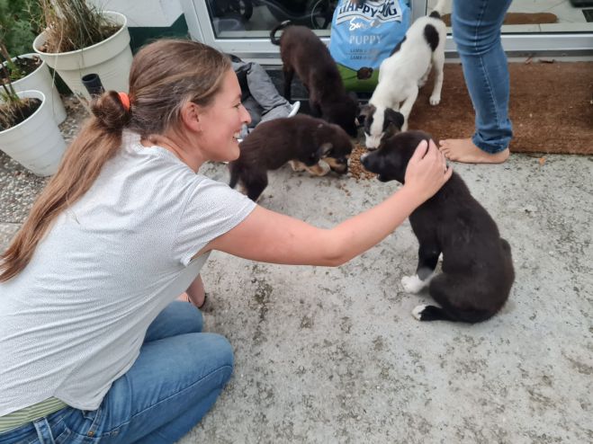 &Phi;&iota;&lambda;&omicron;&zeta;&omega;&iota;&kappa;ό&sigmaf; &Sigma;ύ&lambda;&lambda;&omicron;&gamma;&omicron;&sigmaf; &Tau;&rho;ί&pi;&omicron;&lambda;&eta;&sigmaf;: "&Delta;ώ&delta;&epsilon;&kappa;&alpha; &kappa;&omicron;&upsilon;&tau;&alpha;&beta;ά&kappa;&iota;&alpha; &beta;&rho;ή&kappa;&alpha;&nu; &sigma;&pi;ί&tau;&iota; &kappa;&alpha;&iota; &beta;&rho;ί&sigma;&kappa;&omicron;&nu;&tau;&alpha;&iota; ή&delta;&eta; &sigma;&tau;&iota;&sigmaf; &nu;έ&epsilon;&sigmaf; &tau;&omicron;&upsilon;&sigmaf; &omicron;&iota;&kappa;&omicron;&gamma;έ&nu;&epsilon;&iota;&epsilon;&sigmaf;!"