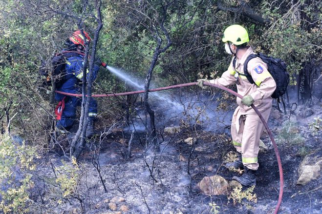 &Sigma;ύ&lambda;&lambda;&omicron;&gamma;&omicron;&sigmaf; &Chi;&rho;&upsilon;&sigma;&omicron;&beta;&iota;&tau;&sigma;&iota;&omega;&tau;ώ&nu; &mu;&epsilon;&tau;ά &tau;&eta; &phi;&omega;&tau;&iota;ά &sigma;&tau;&omicron; &Mu;&alpha;ί&nu;&alpha;&lambda;&omicron;: "&Mu;&eta;&nu; &tau;&omicron;&upsilon;&sigmaf; &alpha;&phi;ή&sigma;&epsilon;&tau;&epsilon; &nu;&alpha; &kappa;ά&psi;&omicron;&upsilon;&nu; &tau;&omicron; &sigma;&tau;&omicron;&lambda;ί&delta;&iota; &mu;&alpha;&sigmaf;"