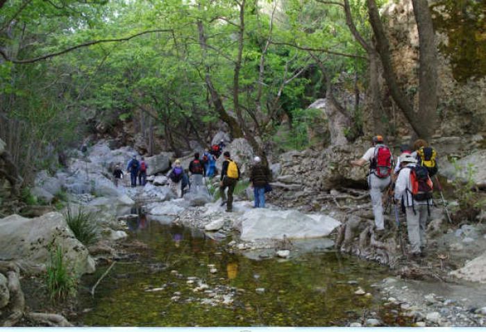 Στο φαράγγι του Τάνου ο ΣΑΟΟ