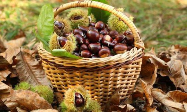 &Omicron;&kappa;&tau;ώ&beta;&rho;&iota;&omicron;&sigmaf; &mu;&epsilon; &gamma;&iota;&omicron;&rho;&tau;ή &kappa;ά&sigma;&tau;&alpha;&nu;&omicron;&upsilon; &kappa;&alpha;&iota; &sigma;&tau;&eta; &Beta;&lambda;&alpha;&chi;&omicron;&kappa;&epsilon;&rho;&alpha;&sigma;&iota;ά!