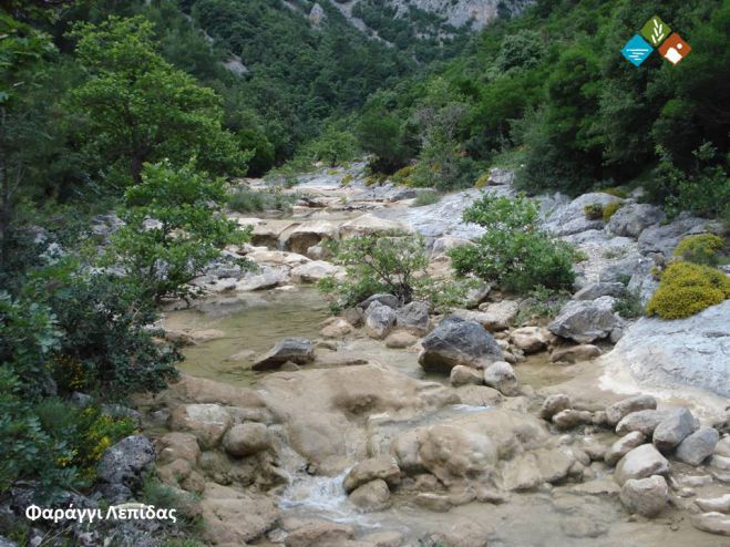 Το νερό δίνει άλλη διάσταση στο εντυπωσιακό τοπίο του Πάρνωνα (εικόνες)