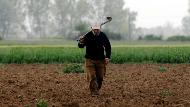 Κωνσταντινόπουλος: "Αγρότες και κτηνοτρόφοι σε απόγνωση, δεν βρίσκουν εργάτες"