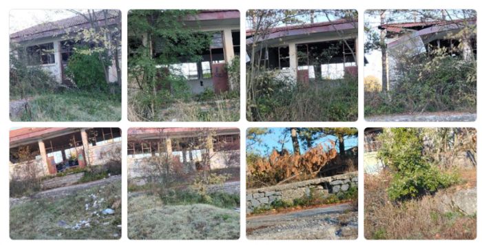 SOS από τον Αγγελή Πετρόπουλο: "Υπάρχει άμεσος κίνδυνος πυρκαγιάς στις κατασκηνώσεις Βυτίνας"