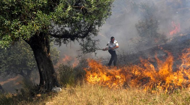 &Alpha;&nu;&epsilon;&xi;έ&lambda;&epsilon;&gamma;&kappa;&tau;&eta; &kappa;&alpha;ί&epsilon;&iota; &eta; &phi;&omega;&tau;&iota;ά &sigma;&tau;&alpha; &chi;&omega;&rho;&iota;ά &tau;&eta;&sigmaf; &mu;&epsilon;&iota;&omicron;&nu;ό&tau;&eta;&tau;&alpha;&sigmaf; &sigma;&tau;&eta;&nu; &Alpha;&lambda;&beta;&alpha;&nu;ί&alpha; (vd)