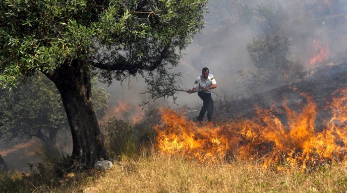 Ανεξέλεγκτη καίει η φωτιά στα χωριά της μειονότητας στην Αλβανία (vd)
