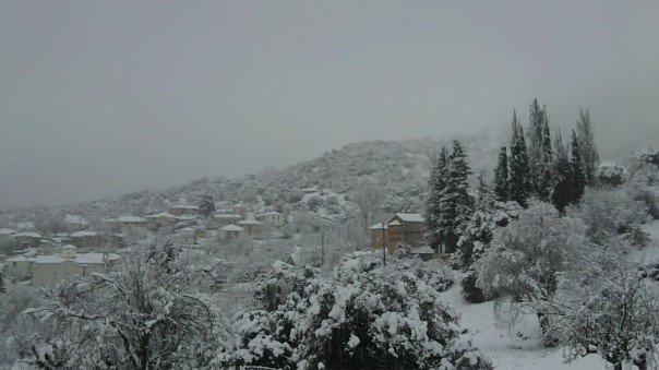 &Kappa;ό&beta;&epsilon;&iota; &tau;&eta;&nu; &pi;ί&tau;&alpha; &tau;&omicron;&upsilon; &omicron; &pi;&omicron;&lambda;&iota;&tau;&iota;&sigma;&tau;&iota;&kappa;ό&sigmaf; &sigma;ύ&lambda;&lambda;&omicron;&gamma;&omicron;&sigmaf; &Alpha;&gamma;&rho;&iota;&delta;ί&omicron;&upsilon;