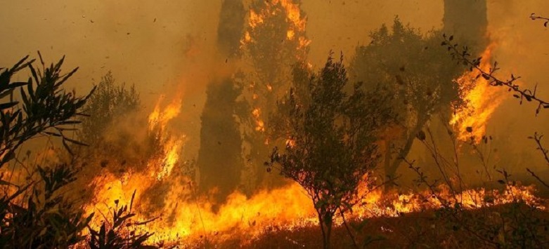 Σε ύφεση η φωτιά στη Γορτυνία - Έφτασε ελικόπτερο από τον Πύργο για την κατάσβεση της