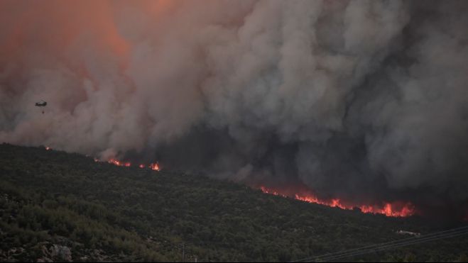 Πυρκαγιές | Κλειστές οι έξοδοι 1 και 2 της Αττικής οδού για Μάνδρα και Ελευσίνα