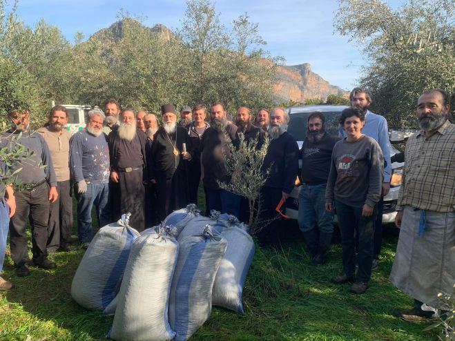 Μαζεύτηκαν οι ελιές στα κτήματα της Μονής Αγίου Νικολάου Σίντζας - Τη συγκομιδή ευλόγησε ο Αλέξανδρος (εικόνες)