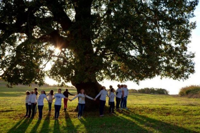 Αρκαδία | Πρώτη επετειακή εκδήλωση του Δικτύου Αιωνόβιων Δέντρων Ελληνικής Επανάστασης