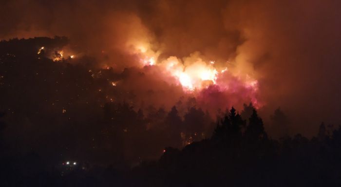Συλλήψεις για πυρκαγιές σε Ηλεία και Μεσσηνία