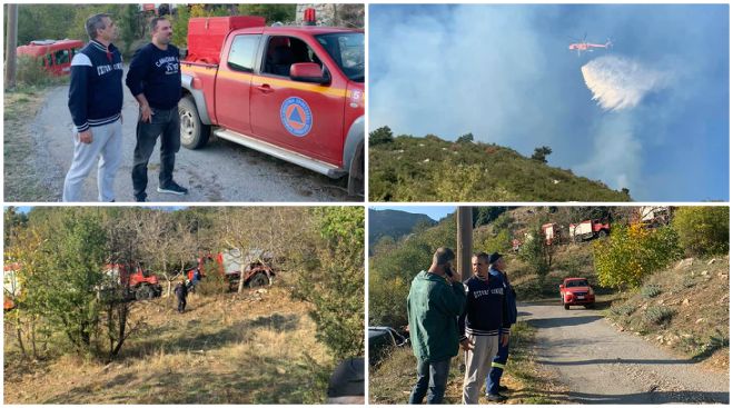 &Chi;&rho;&upsilon;&sigma;&omicron;&beta;ί&tau;&sigma;&iota; | Ά&mu;&epsilon;&sigma;&alpha; &sigma;&tau;&eta;&nu; &pi;&upsilon;&rho;&kappa;&alpha;&gamma;&iota;ά &omicron; &Tau;&zeta;&iota;&omicron;ύ&mu;&eta;&sigmaf; - &Delta;&upsilon;&nu;ά&mu;&epsilon;&iota;&sigmaf; &tau;&omicron;&upsilon; &Delta;ή&mu;&omicron;&upsilon; &Tau;&rho;ί&pi;&omicron;&lambda;&eta;&sigmaf; &beta;&omicron;&eta;&theta;&omicron;ύ&nu; &sigma;&tau;&eta;&nu; &kappa;&alpha;&tau;ά&sigma;&beta;&epsilon;&sigma;&eta; &tau;&eta;&sigmaf; &phi;&omega;&tau;&iota;ά&sigmaf; (&epsilon;&iota;&kappa;ό&nu;&epsilon;&sigmaf;)