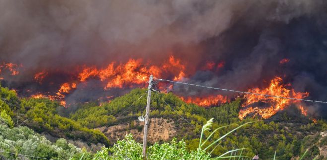 &Phi;&omega;&tau;&iota;ά - &Alpha;&rho;&chi;&alpha;ί&alpha; &Omicron;&lambda;&upsilon;&mu;&pi;ί&alpha; | &Pi;ύ&rho;&iota;&nu;&omicron; &mu;έ&tau;&omega;&pi;&omicron; &sigma;&tau;&eta;&nu; &pi;&epsilon;&rho;&iota;&omicron;&chi;ή &Chi;&epsilon;&lambda;&iota;&delta;ό&nu;&iota;, &delta;ό&theta;&eta;&kappa;&epsilon; &epsilon;&nu;&tau;&omicron;&lambda;ή &epsilon;&kappa;&kappa;έ&nu;&omega;&sigma;&eta;&sigmaf;