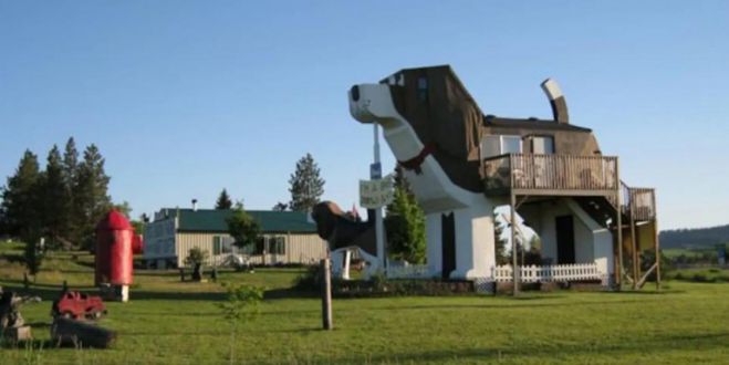 Το σπίτι-σκύλος | Το πιο περίεργο κατάλυμα Airbnb! (εικόνες)