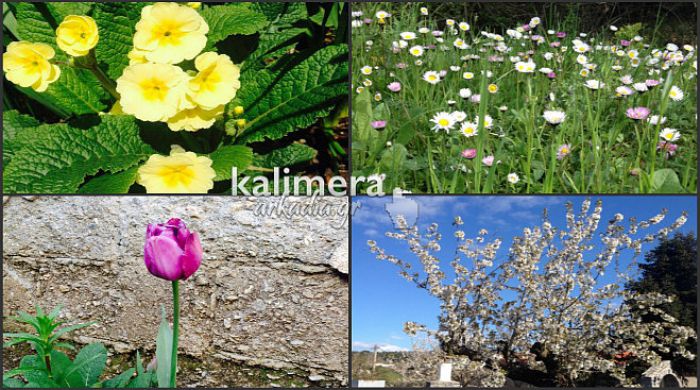 &laquo;Ά&nu;&theta;&iota;&sigma;&epsilon;&raquo; &eta; &Beta;&lambda;&alpha;&chi;&omicron;&kappa;&epsilon;&rho;&alpha;&sigma;&iota;ά &ndash; &Pi;&alpha;&nu;έ&mu;&omicron;&rho;&phi;&epsilon;&sigmaf; &epsilon;&iota;&kappa;ό&nu;&epsilon;&sigmaf;!