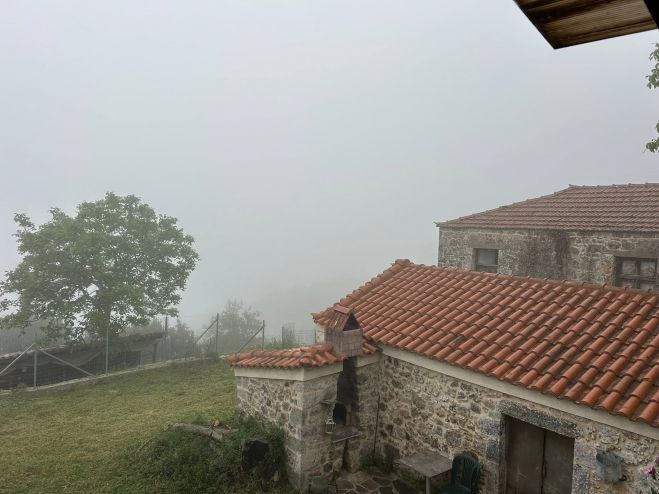 Ξύπνησε με έντονη ομίχλη η Κουνουπιά Αρκαδίας! (vd)